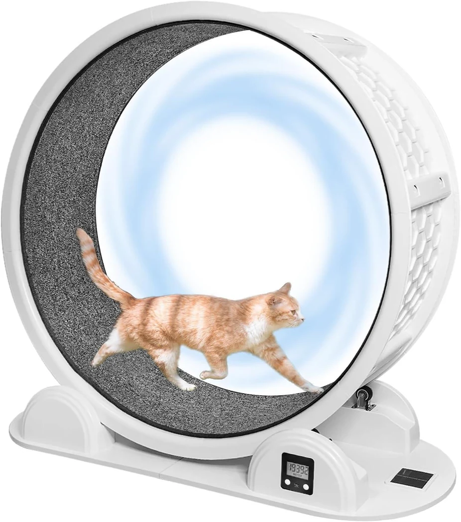 Cat Exercise Wheel RK38